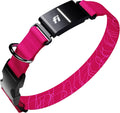 Fi Series 3+ Smart GPS Dog Collar & Pet Tracker, Pink, Large