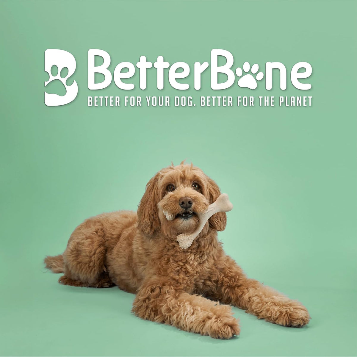 BetterBone - Medium Density - Ideal for Moderate to Strong Chewers - All-Natural, Nylon-Free Dog Chew Toys - Non-Toxic, 