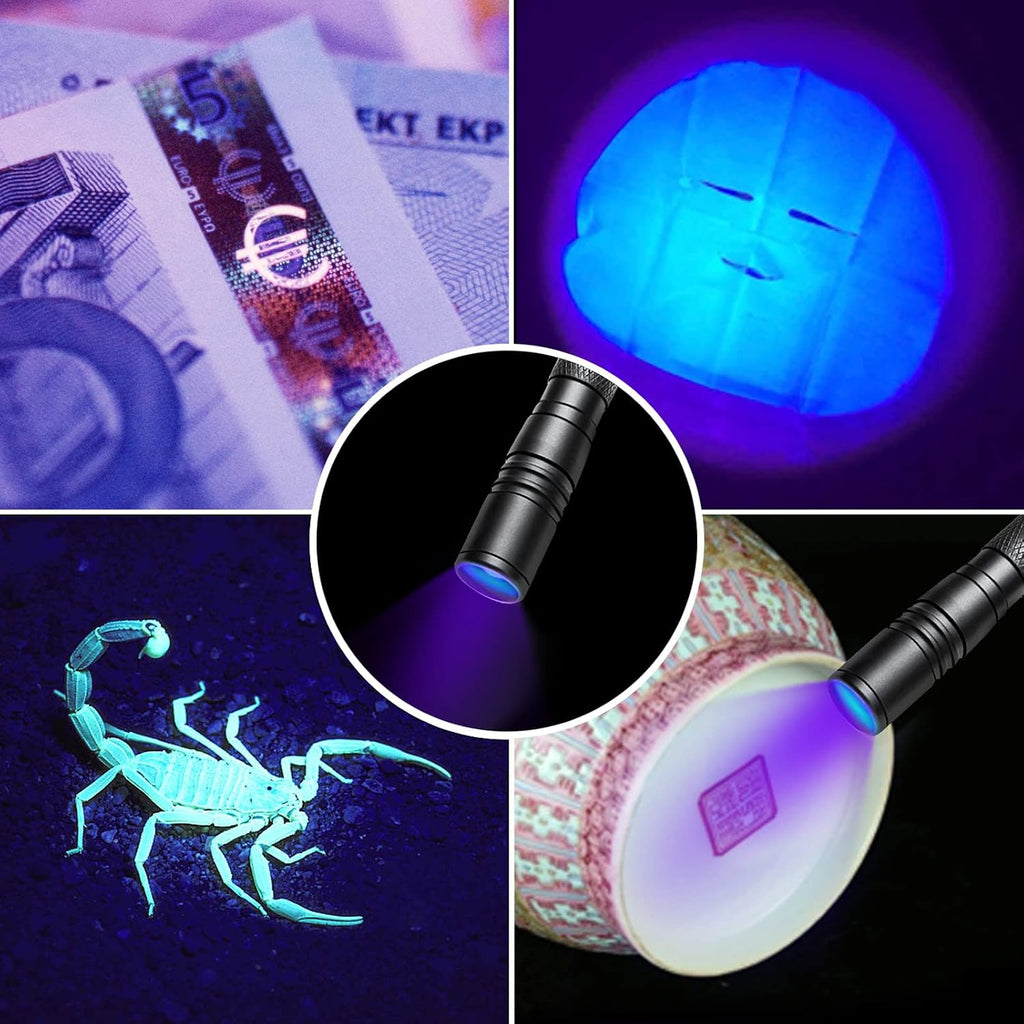 UV Flashlight 395nm Zoomable Black Light Lamp Ultraviolet Lights