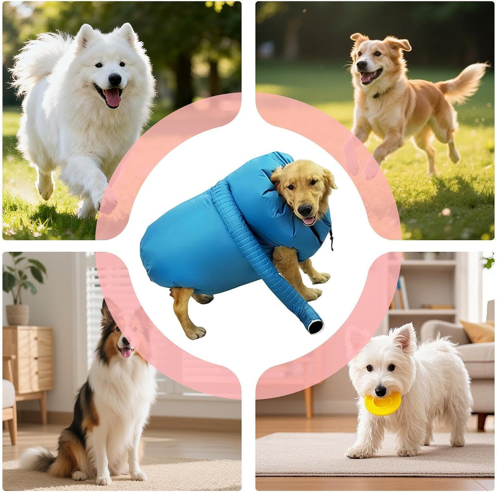 Dog Quick Drying Bag | Pet Air Circulation Blower Sack