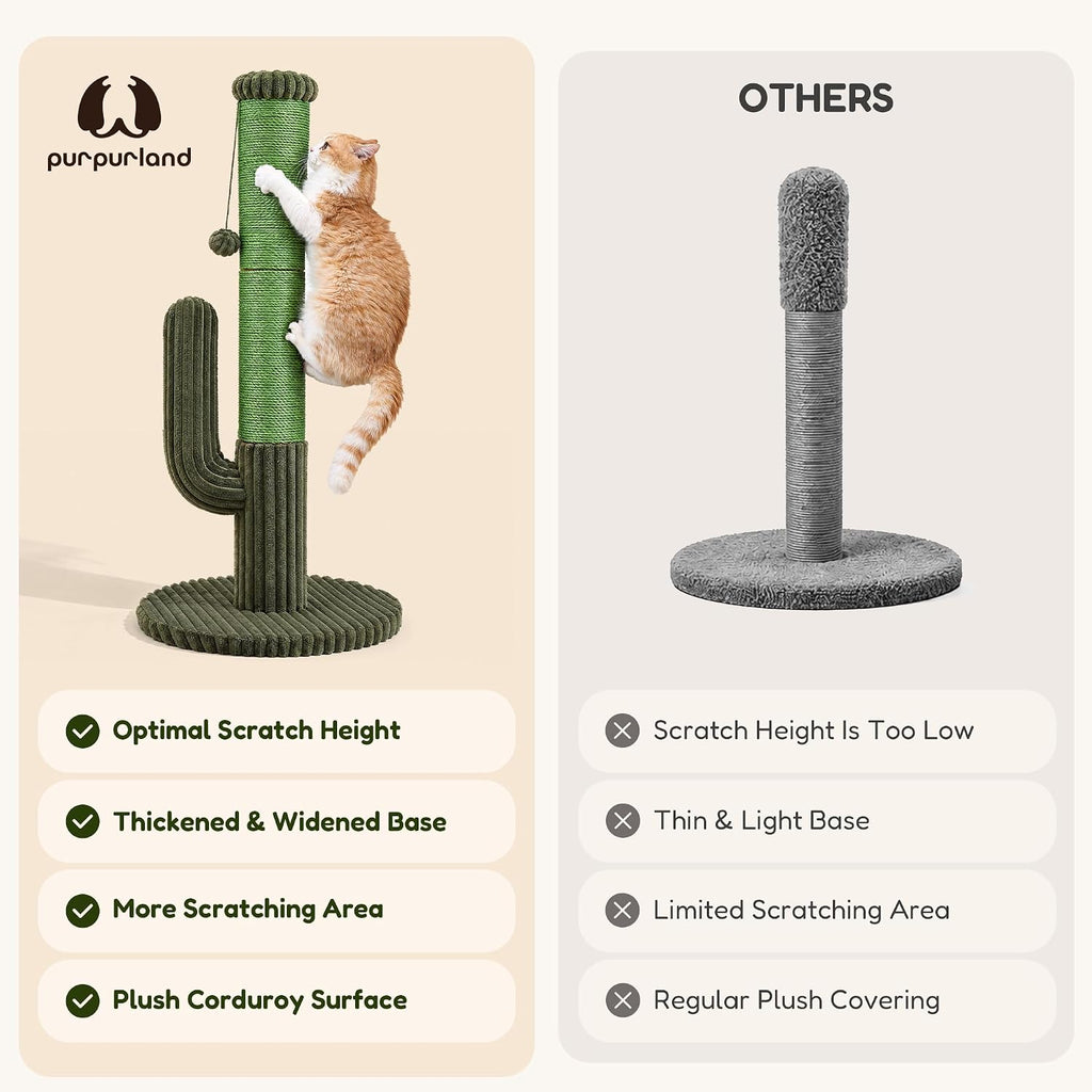 Cactus Cat Scratching Post, Natural Sisal Cat Scratcher with Toy