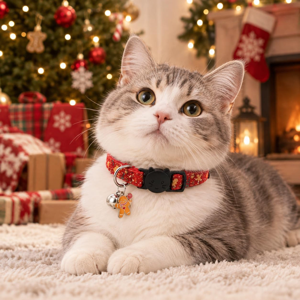 Christmas Cat Collar, 2 Pack Nylon Breakaway Cat Collar with Bells, Xmas