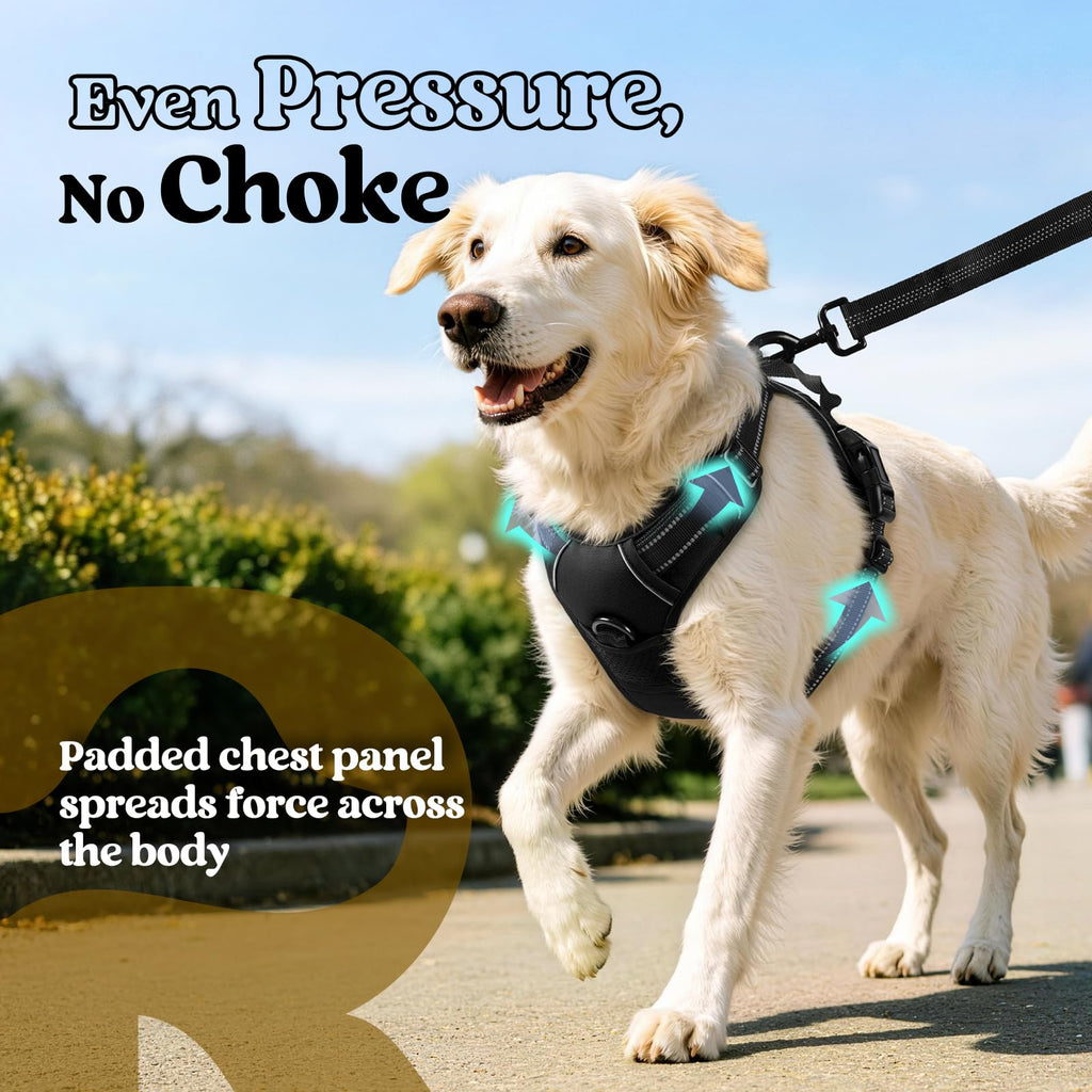 rabbitgoo Dog Harness, No Pull for Large Dogs with 2 Leash Clips, Pet Vest