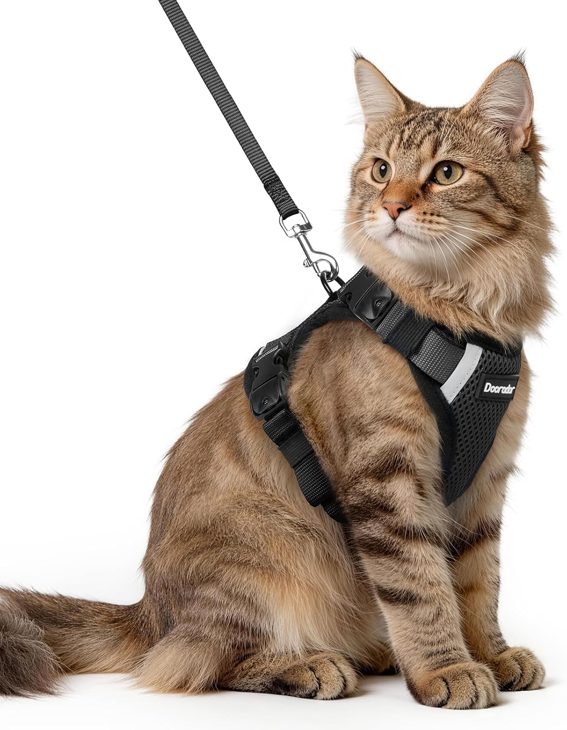 Cat Harness and Leash Set with Neck Release Buckle, Black