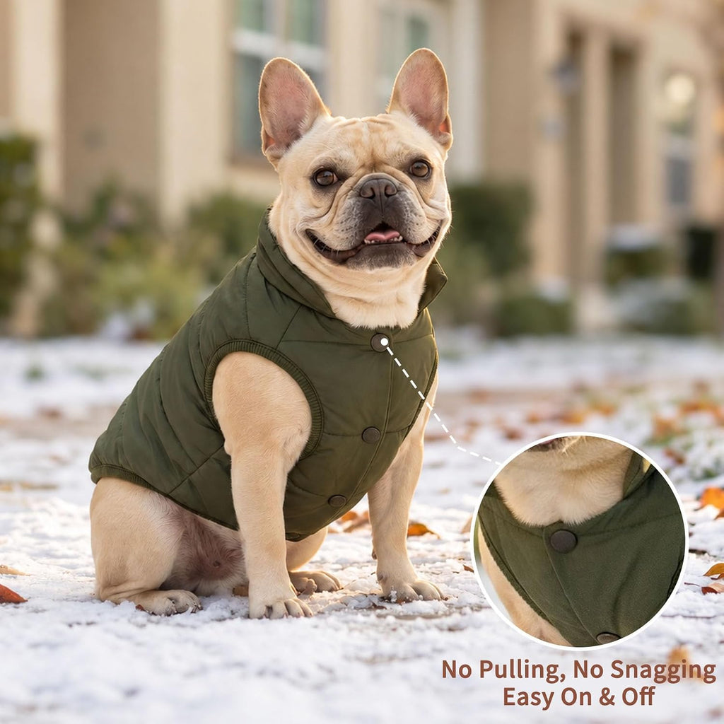Fleece Lined Dog Jacket for Small Dogs,Winter Dog Coat,Green S