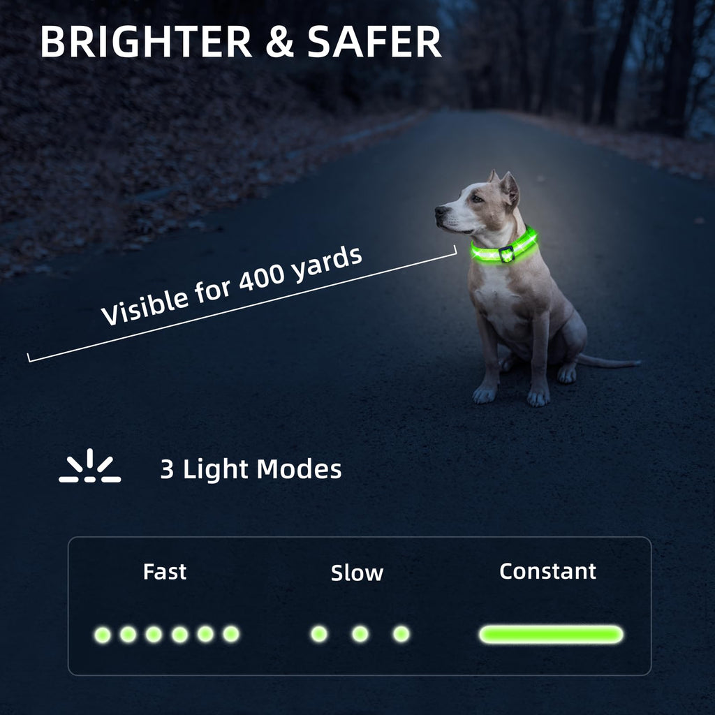 Super Bright LED Dog Collar, Waterproof Light up Collars(Green, Medium)