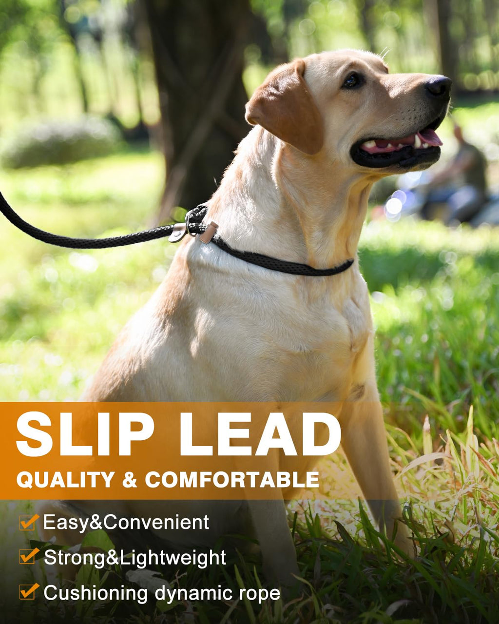Dog Leash Slip Lead Braided Rope Pet Training Loop Leashes 5ft 6ft 8ft