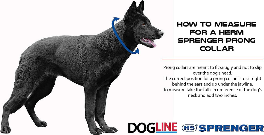 Herm Sprenger Prong Dog Training Collar - 16" Long with 2.25mm Gauge (for Dogs up to 40lbs) - Fits 13" Neck, Extendable 
