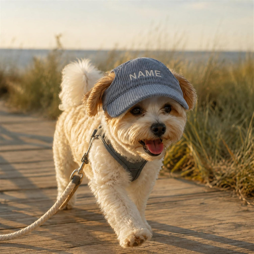 Custom Embroidered Dog Baseball Cap, Pet Sun Hat with Ear Holes for Dog Cat