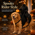 Light-Up Headless Horseman Pet Costume Pumpkin Rider Harness