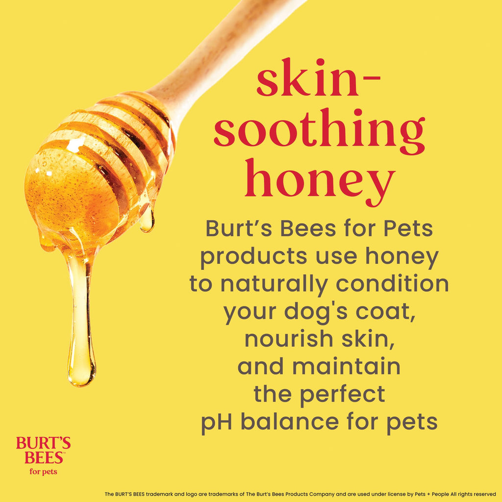 Burt's Bees for Pets Hypoallergenic Cat Shampoo, Shea Butter, 10 Fl Oz