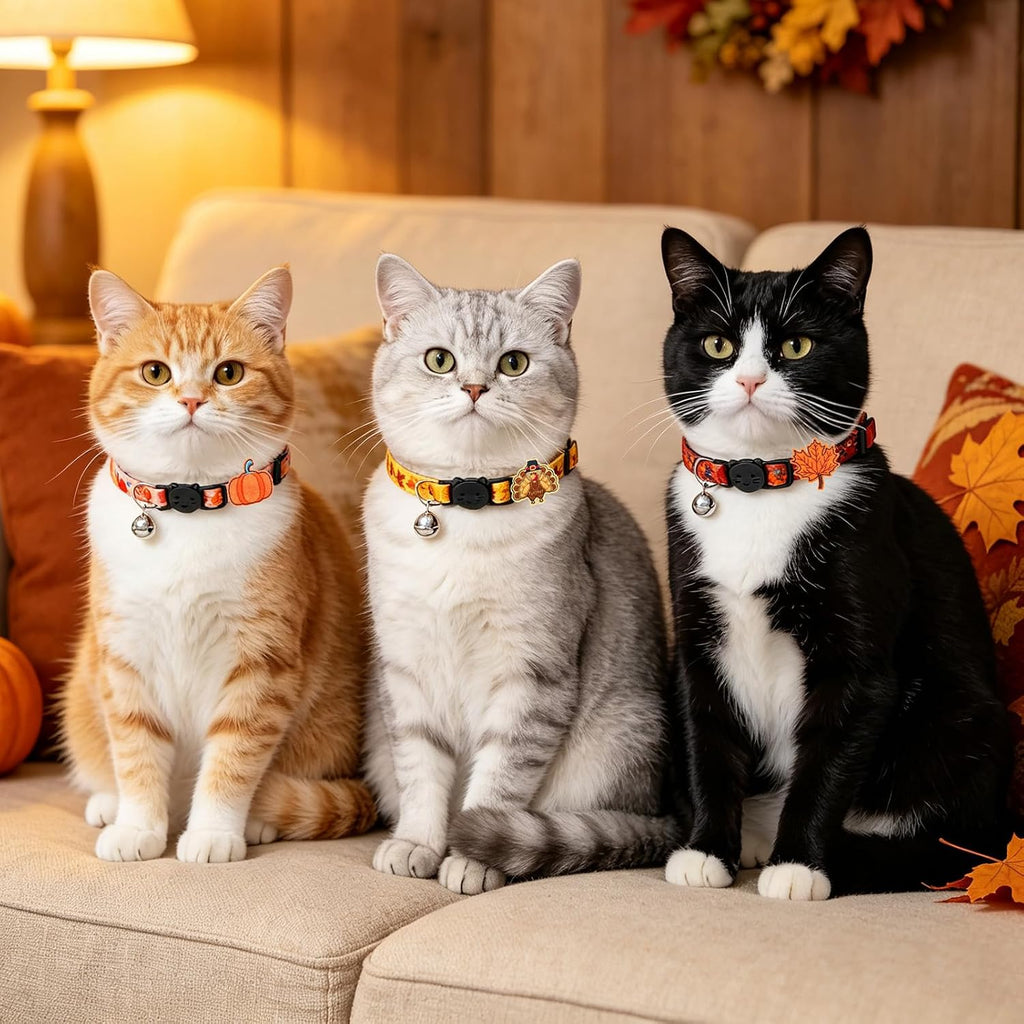PUPTECK Fall Thanksgiving Cat Collar Breakaway with Bells, Kitten Outfit