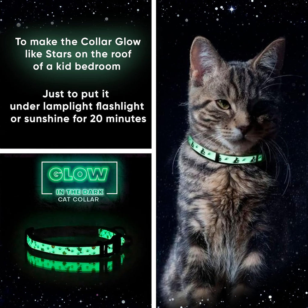 Pawtitas Glow in the Dark Cat Collar with Breakaway Safety Buckle & Bell Adjustable Kitten Collar, Pink