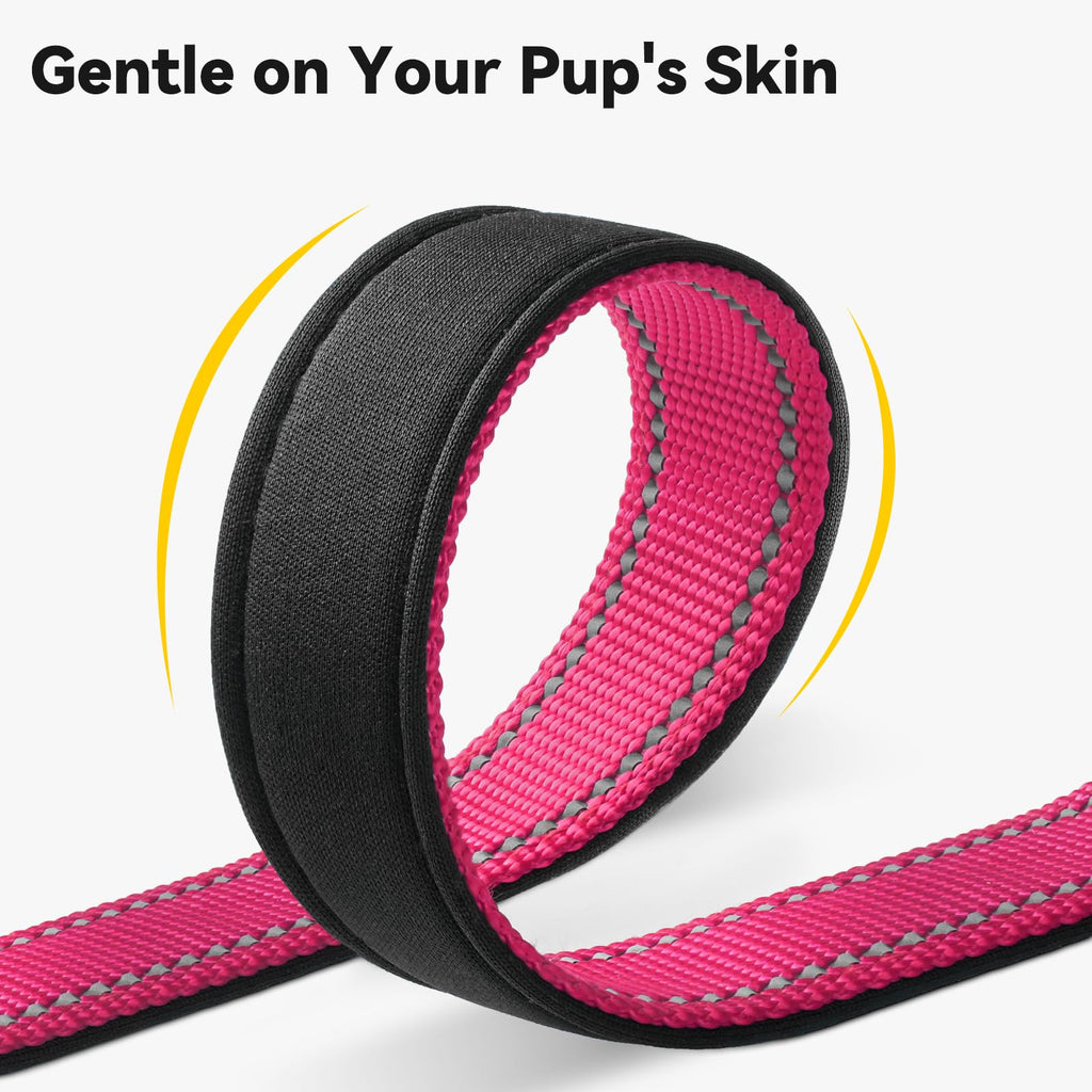 Joytale Personalized Dog Collar with Name Plate Built-in for Large Dogs