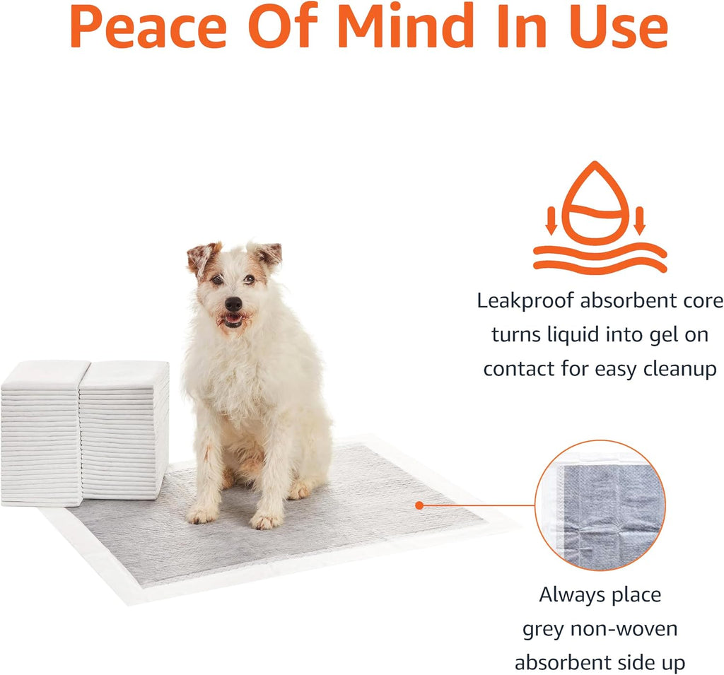Amazon Basics Carbon Odor Control Dog and Puppy Pee Pads, 5-Layer Leak-Proof Super Absorbent, Quick-Dry Surface for Pott