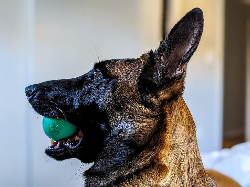 Chew King Fetch Balls Extremely Durable Natural Rubber Toy 2.5 inch, 8-pack (CM-0264-CS01)