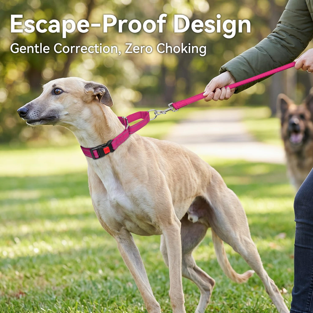 Joytale Martingale Collar for Dogs, Escape Proof No Pull, Hotpink, M