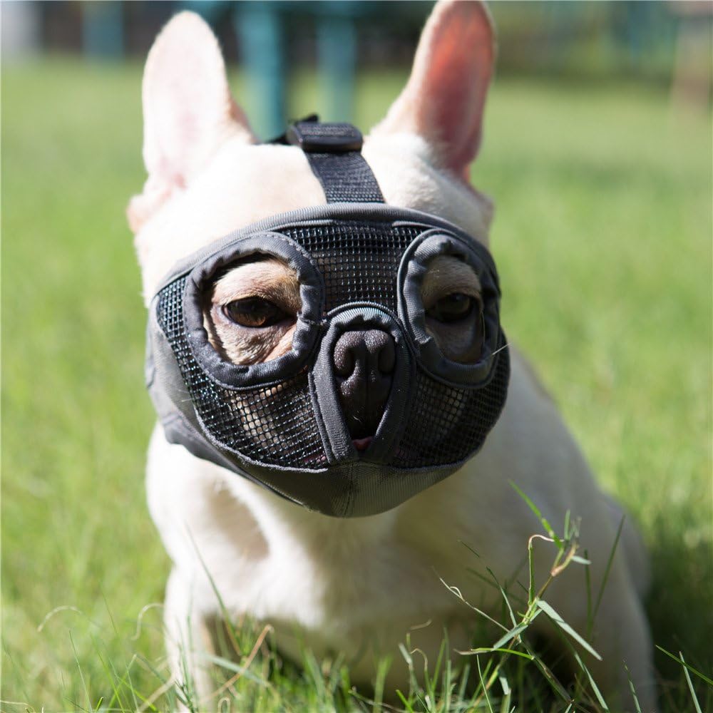 Short Snout Dog Muzzle- Adjustable Breathable Mesh Bulldog Muzzle for Biting Chewing Barking Training Grooming Dog Mask,