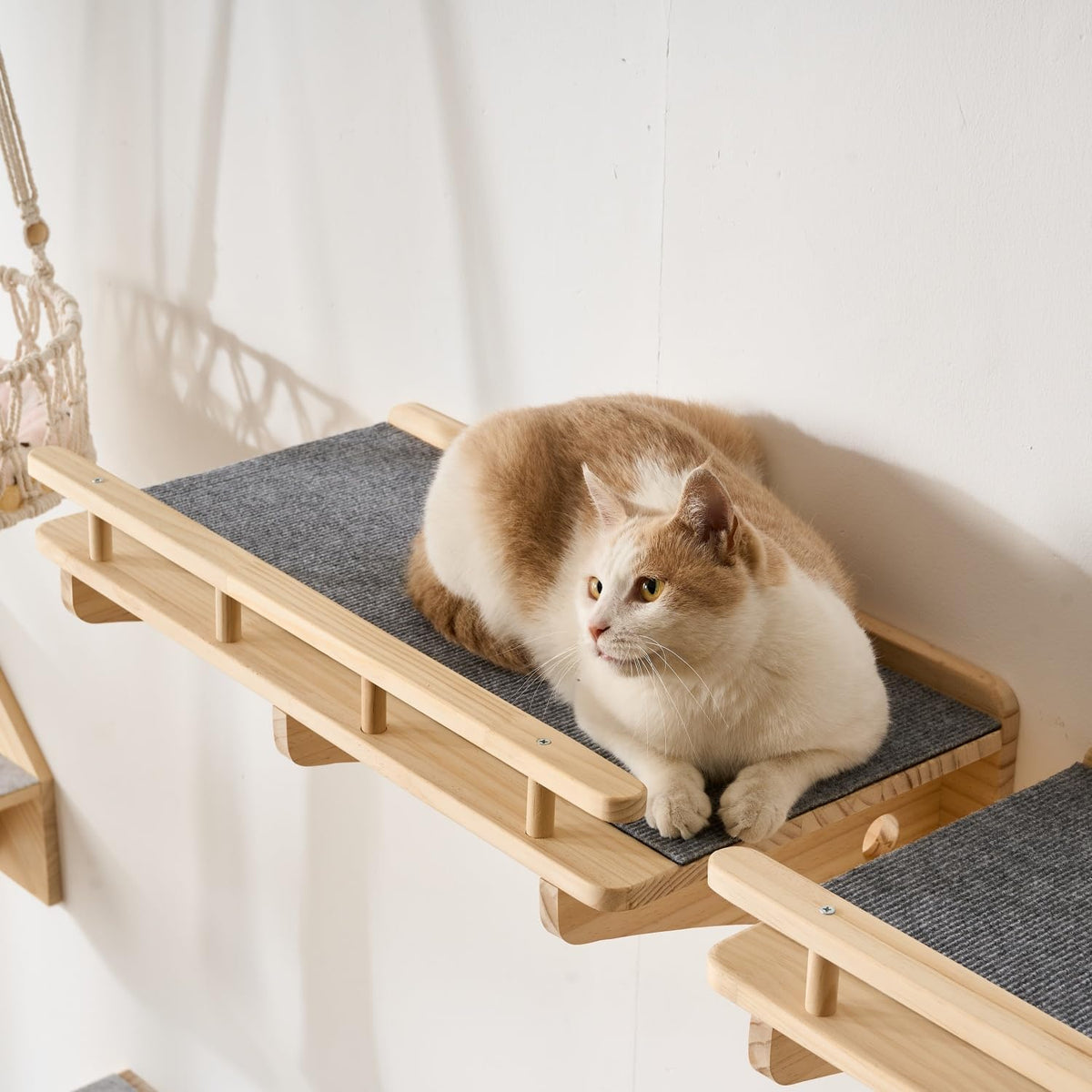 3-Pack Wall Mounted Cat Running Shelves, Parkour Course, Natural Wood
