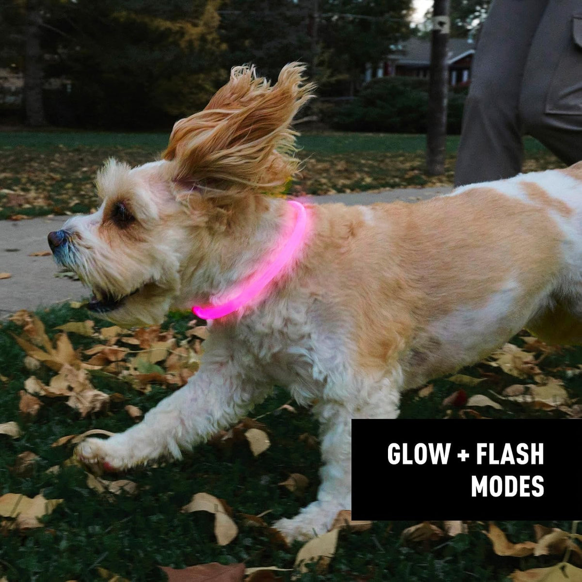 Nite Ize NiteHowl Rechargeable LED Safety Necklace - Dog Light for Dog-Walking Gear - Weather-Resistant Design - 5 Hours