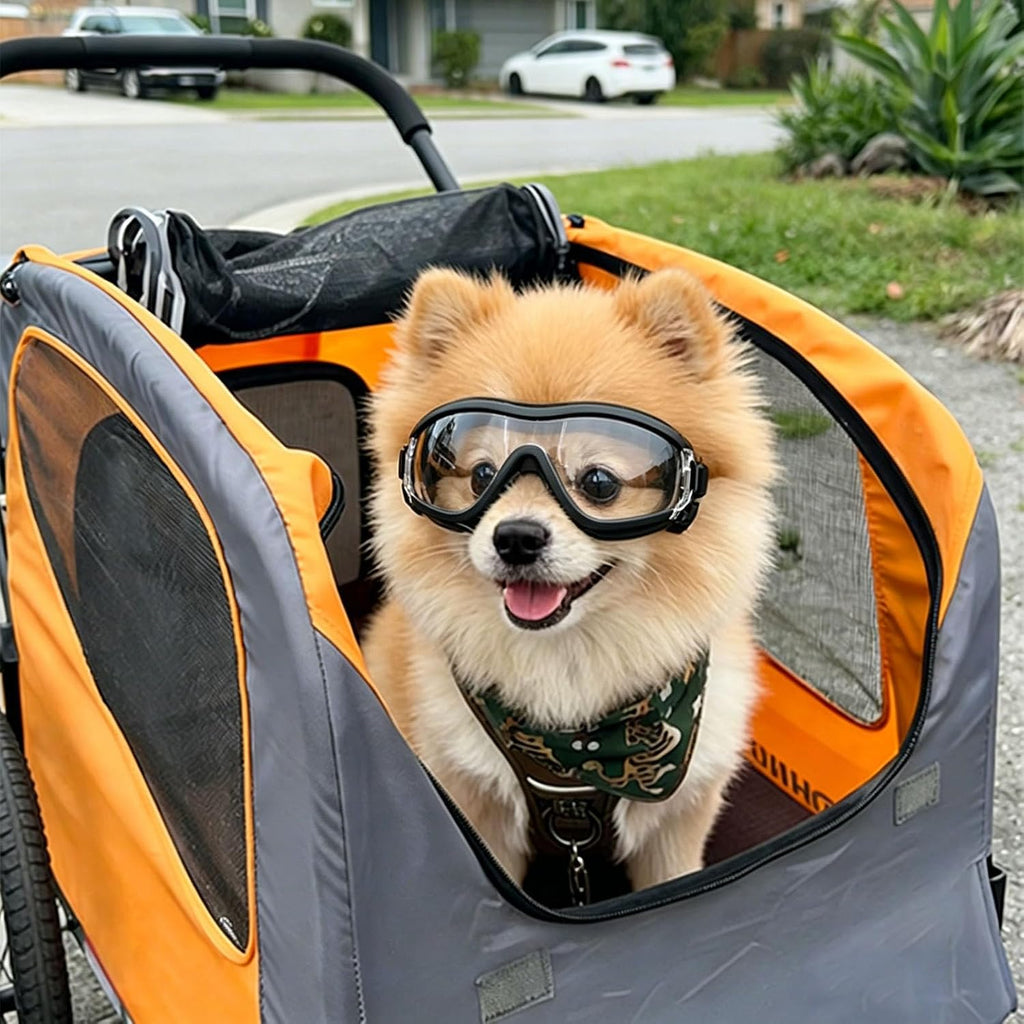 Clear Dog Goggles for Small Dogs, UV Dog Sunglasses Outdoor Eye Protection, Small Glasses for Dogs Cycling Driving Ridin
