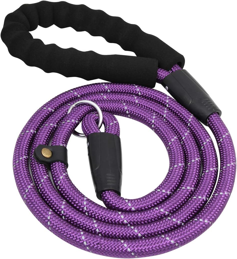 Coolrunner Durable Dog Slip Rope Leash, 5 FT Dog Training Leash, 10-80 lb