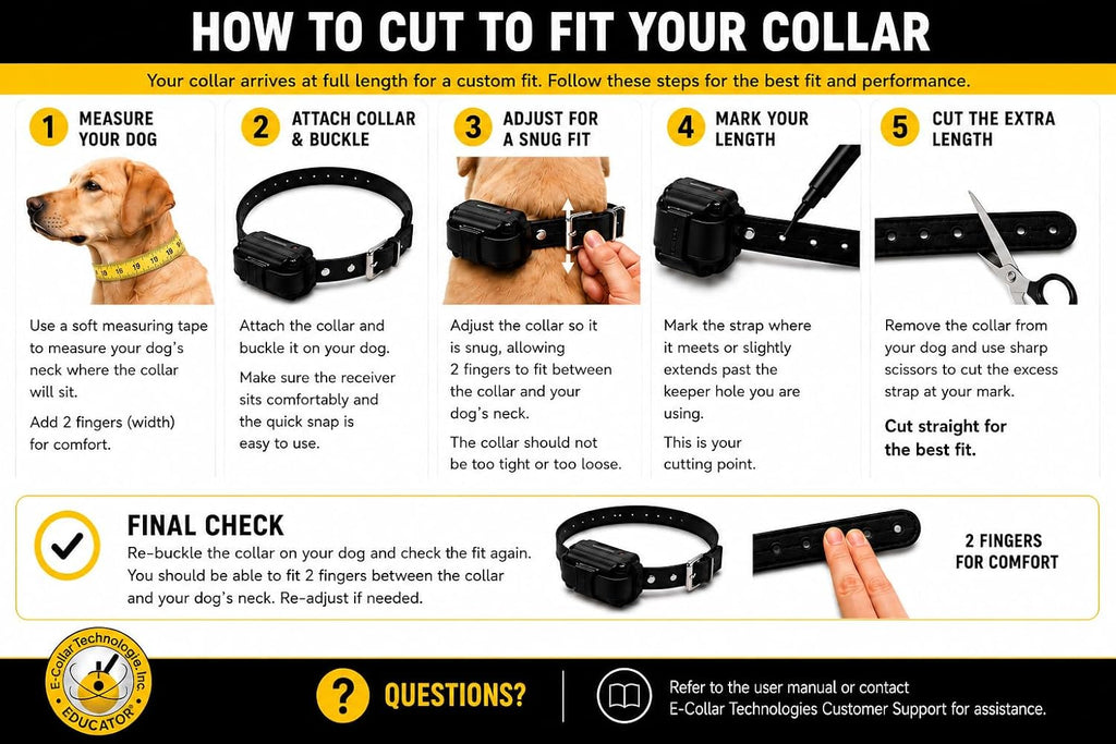 E-Collar Educator 3/4" Quick Snap Bungee Collar Strap, Black