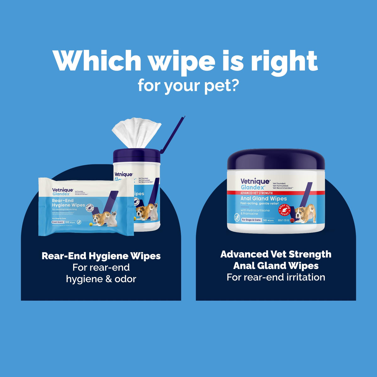 Vetnique Glandex Rear End Wipes for Dogs & Cats, Anal Gland Hygiene