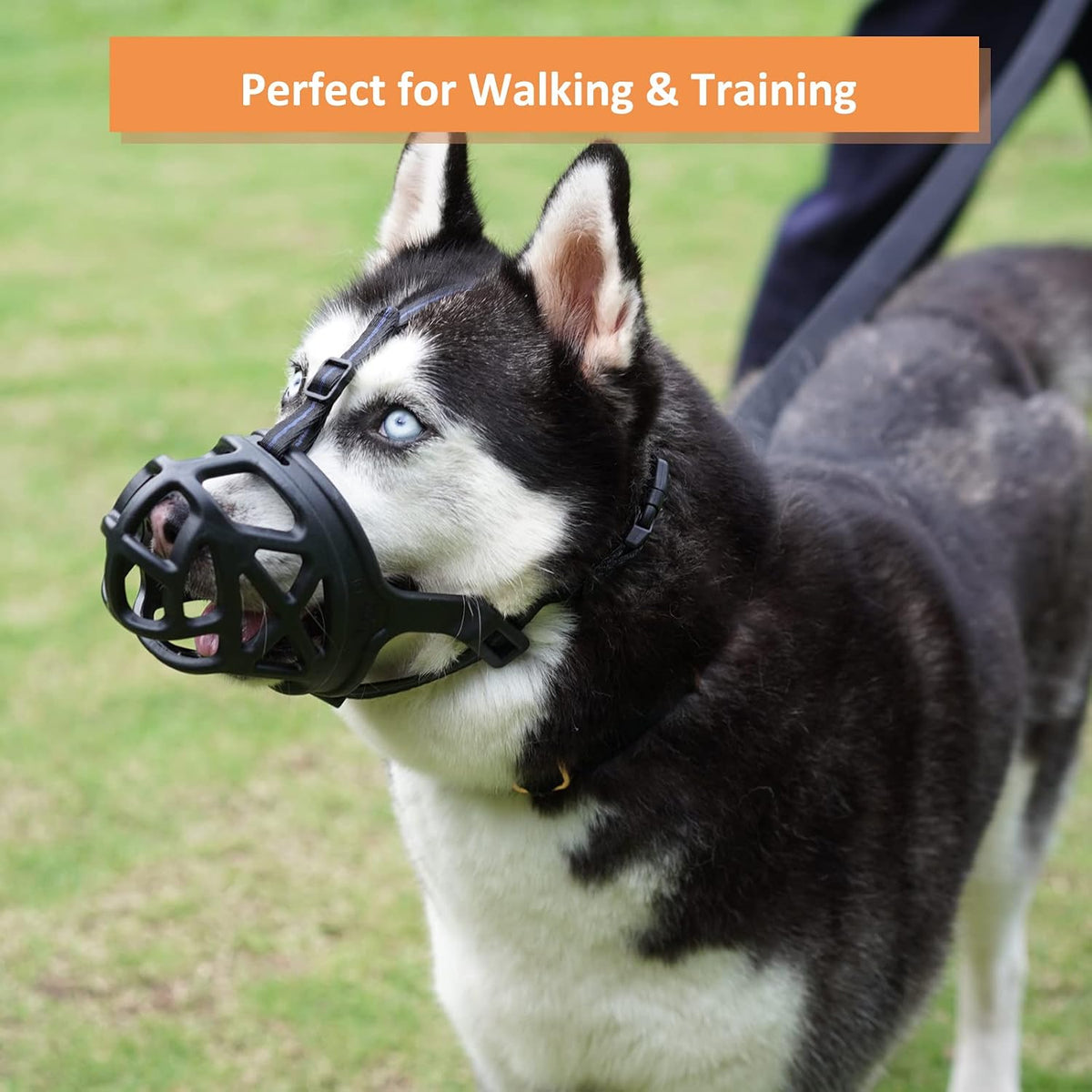 Dog Muzzle, Humane Basket Muzzle for Large Dogs Biting, Scavenging