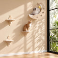 Cat Wall Shelves, Moon & Star Modern Wall-Mounted Cat Furniture