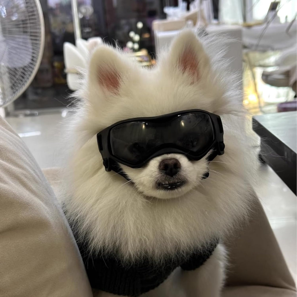 Dog Goggles Small Breed, XS Dog Sunglasses Chihuahua Glasses Anti-UV Eyes Protection for XSmall Pets Tiny Dogs Cats, Bla