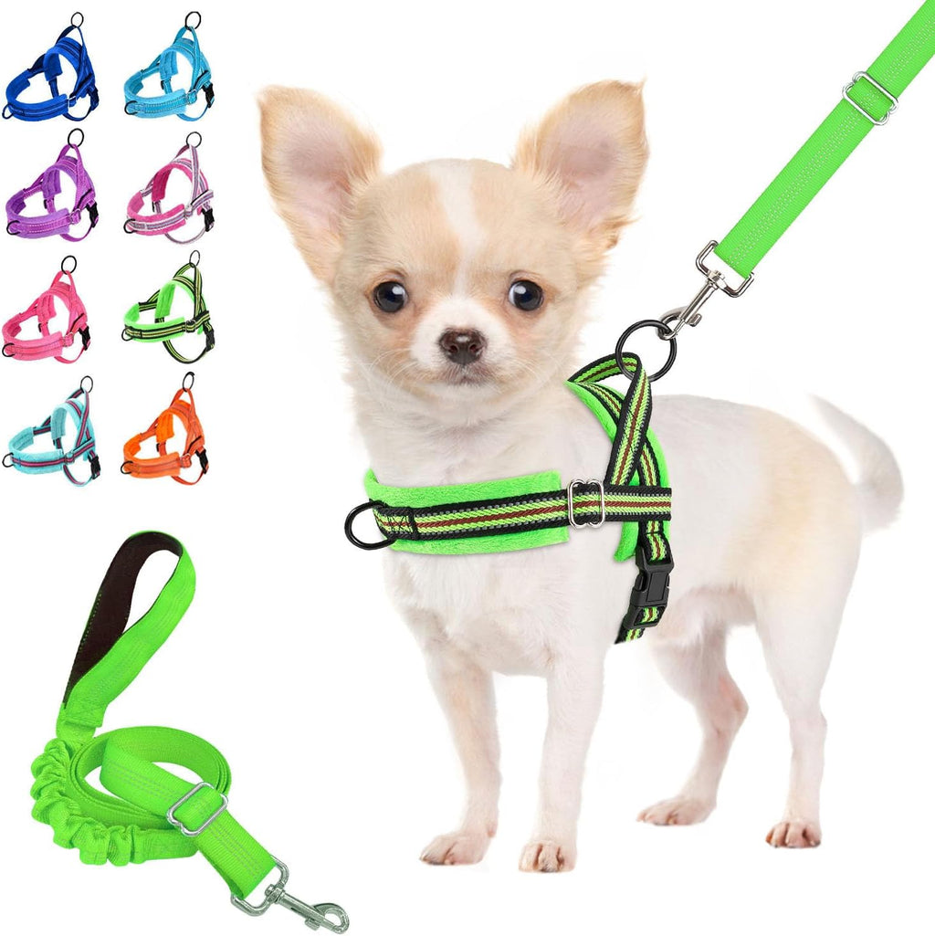 Lukovee Small Dog Harness and Leash Set, No Pull Soft Padded, 4ft Leash, XS