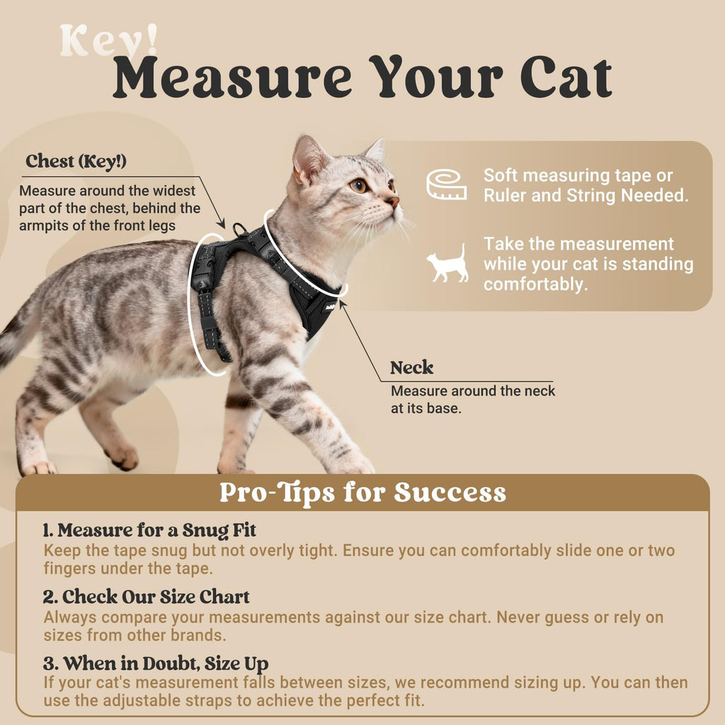 rabbitgoo Cat Harness and Leash, Easy-on with Neck Buckle, Black