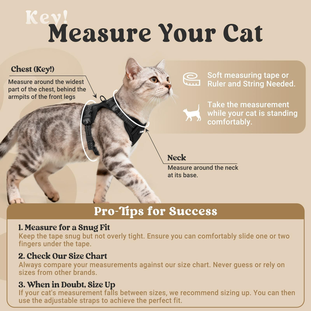 rabbitgoo Cat Harness and Leash, Easy-on with Neck Buckle, Black