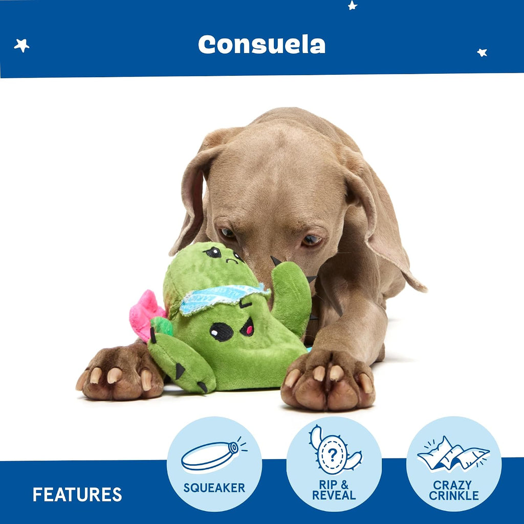 BarkBox Consuela the Cactus 2-in-1 Interactive Plush Dog Toy