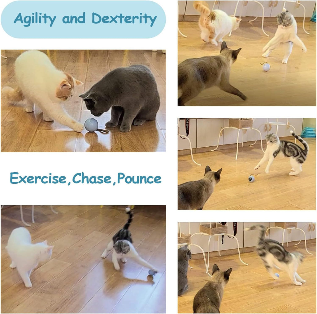 Migipaws Interactive Cat Ball Toy Set, Fun Tracker, Automatic Rolling Chase Ball with Fluffy Tail, A Small Mice, Recharg