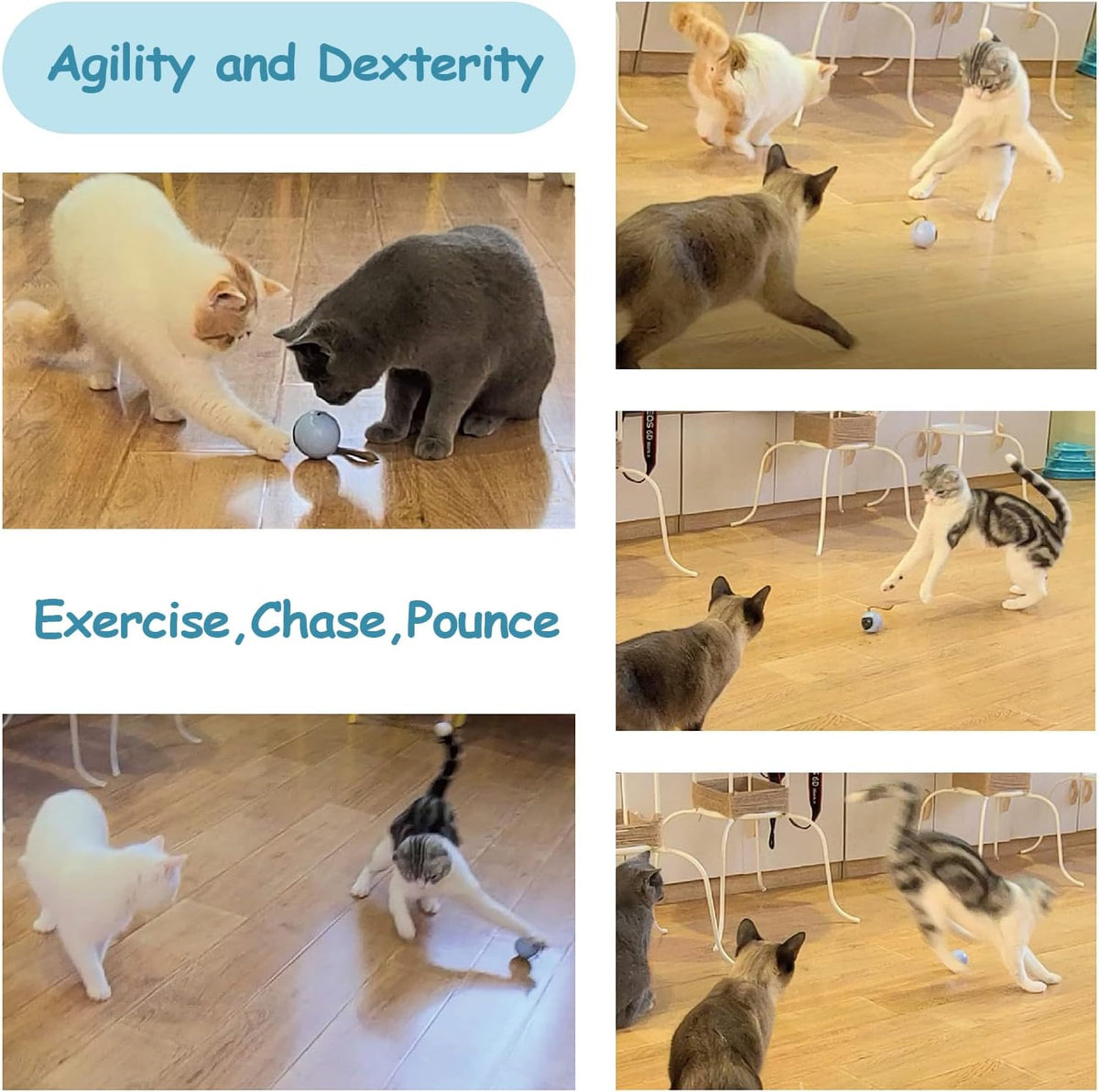 Migipaws Interactive Cat Ball Toy Set, Fun Tracker, Automatic Rolling Chase Ball with Fluffy Tail, A Small Mice, Recharg