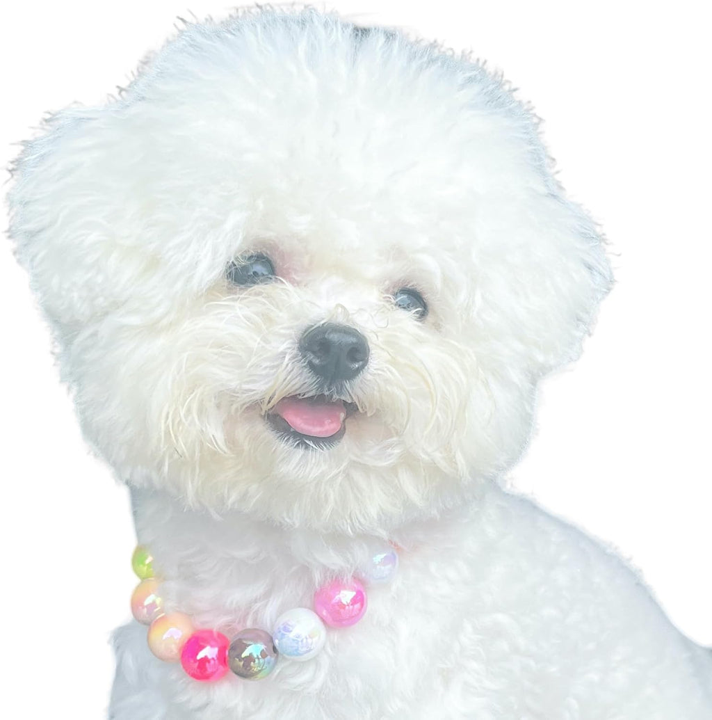 Dogs necklace,Pet Fashion Necklace,Colorful Beaded Necklace,