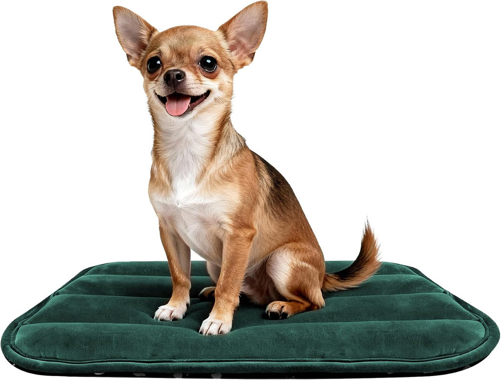 Dog Bed Crate Mat, Soft Durable Washable Anti-Slip Kennel Pad for Dogs & Cats, Reversible (Light Gray, S(24"*18"*1.5"))
