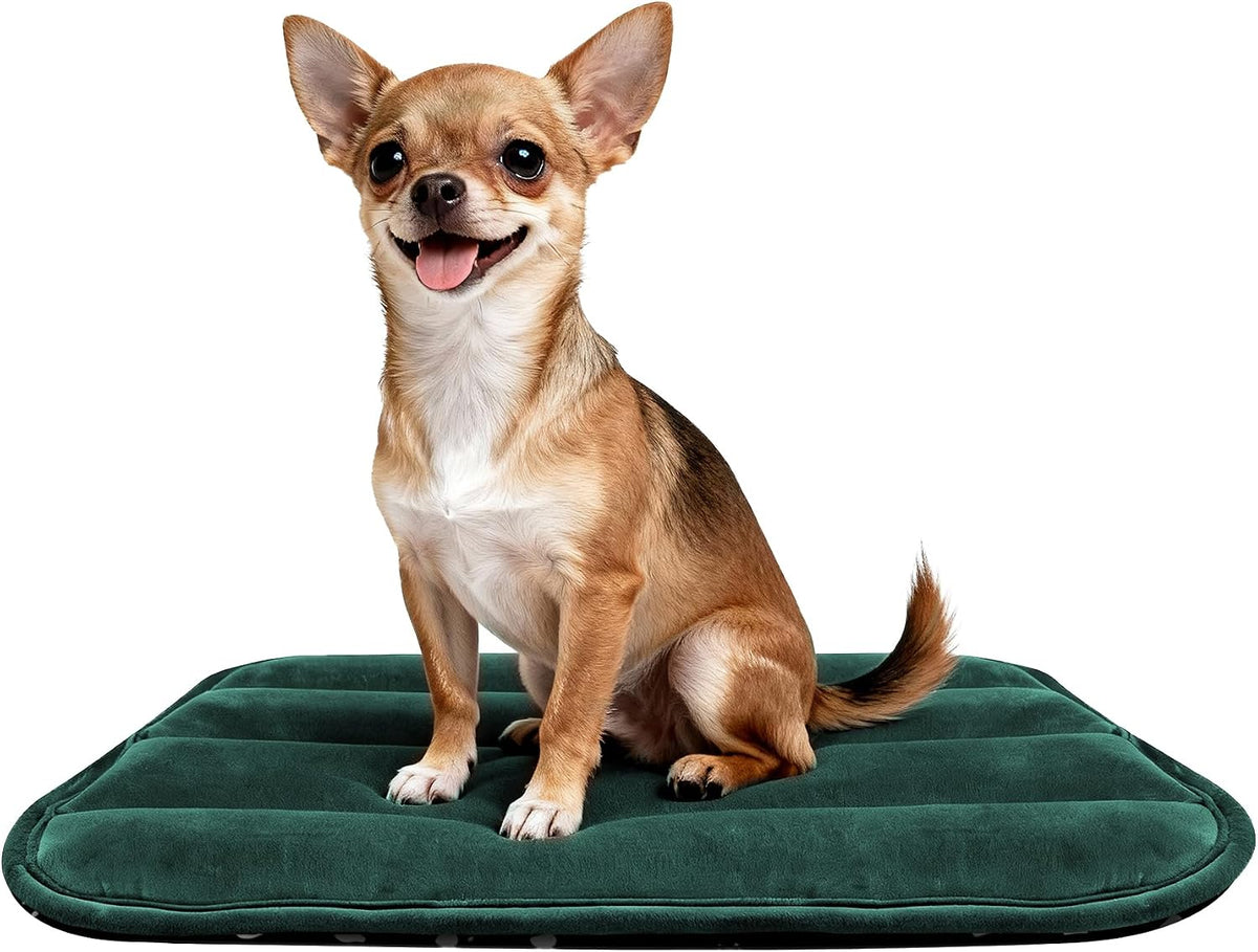 Dog Bed Crate Mat, Soft Durable Washable Anti-Slip Kennel Pad for Dogs & Cats, Reversible (Light Gray, S(24"*18"*1.5"))