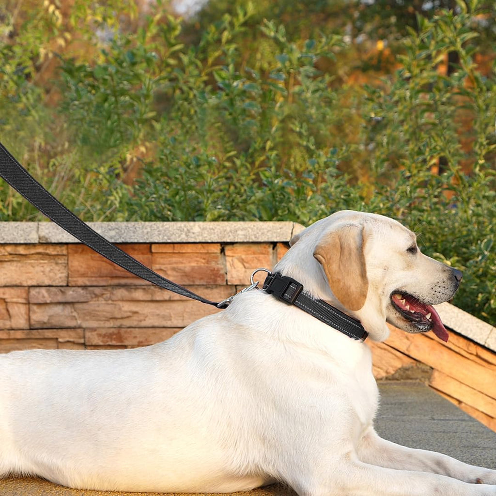 PenSeepet 6 FT Basic Dog Leash for Medium Dogs,Black