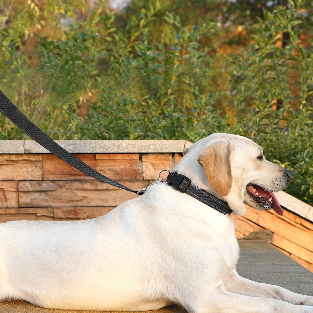 PenSeepet 6 FT Basic Dog Leash for Medium Dogs,Black