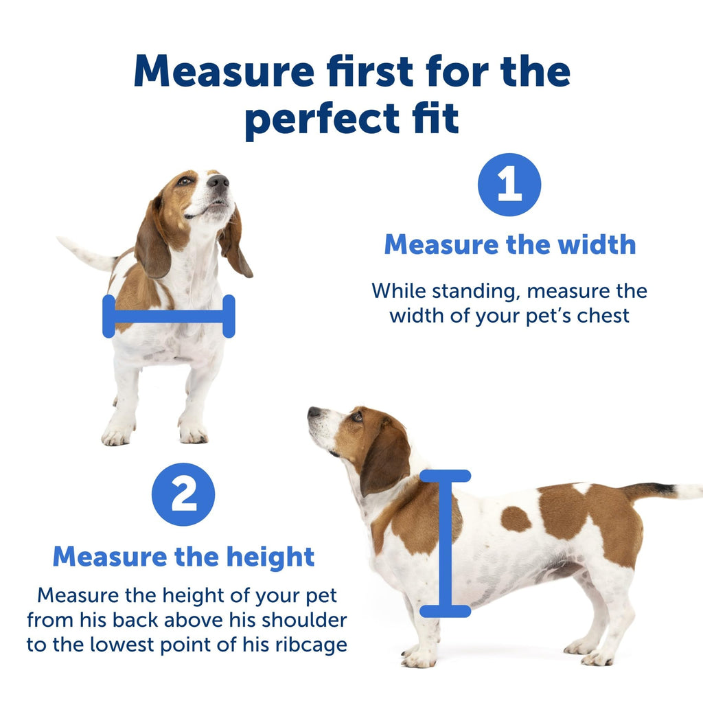 PetSafe Extreme Weather Aluminum Dog Door, 3-Flap Insulated, Large