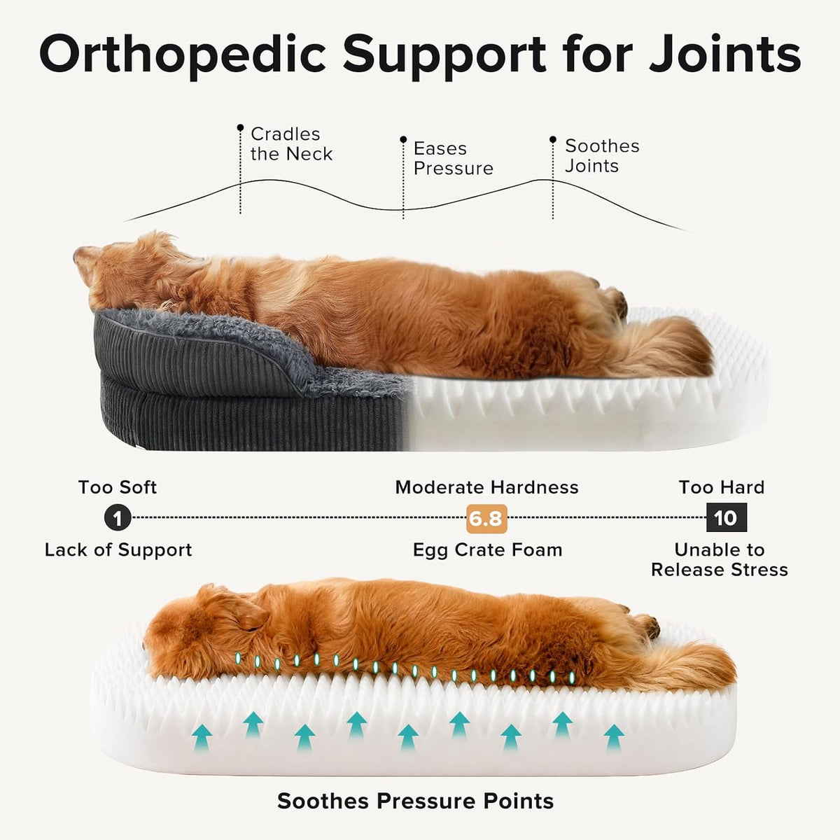 Fluffy Orthopedic Dog Beds Large Sized Dog, XL Egg-Crate Foam Bolster Sofa Bed with Washable Removable Waterproof Cover,