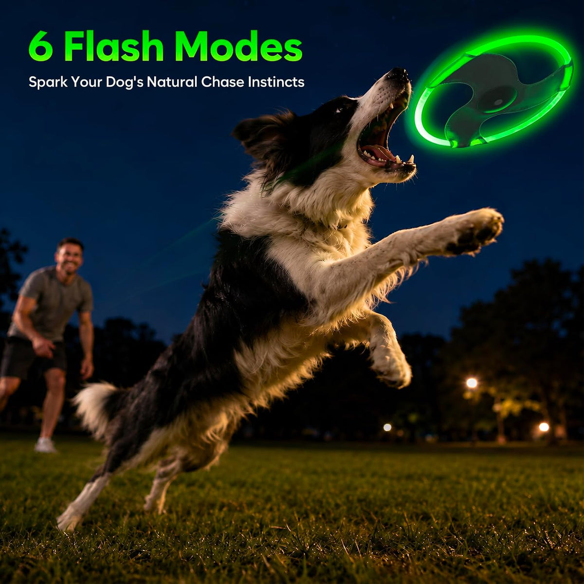 Light Up Dog Flying Disc, LED Flying Disc Dog Toy for Night Time