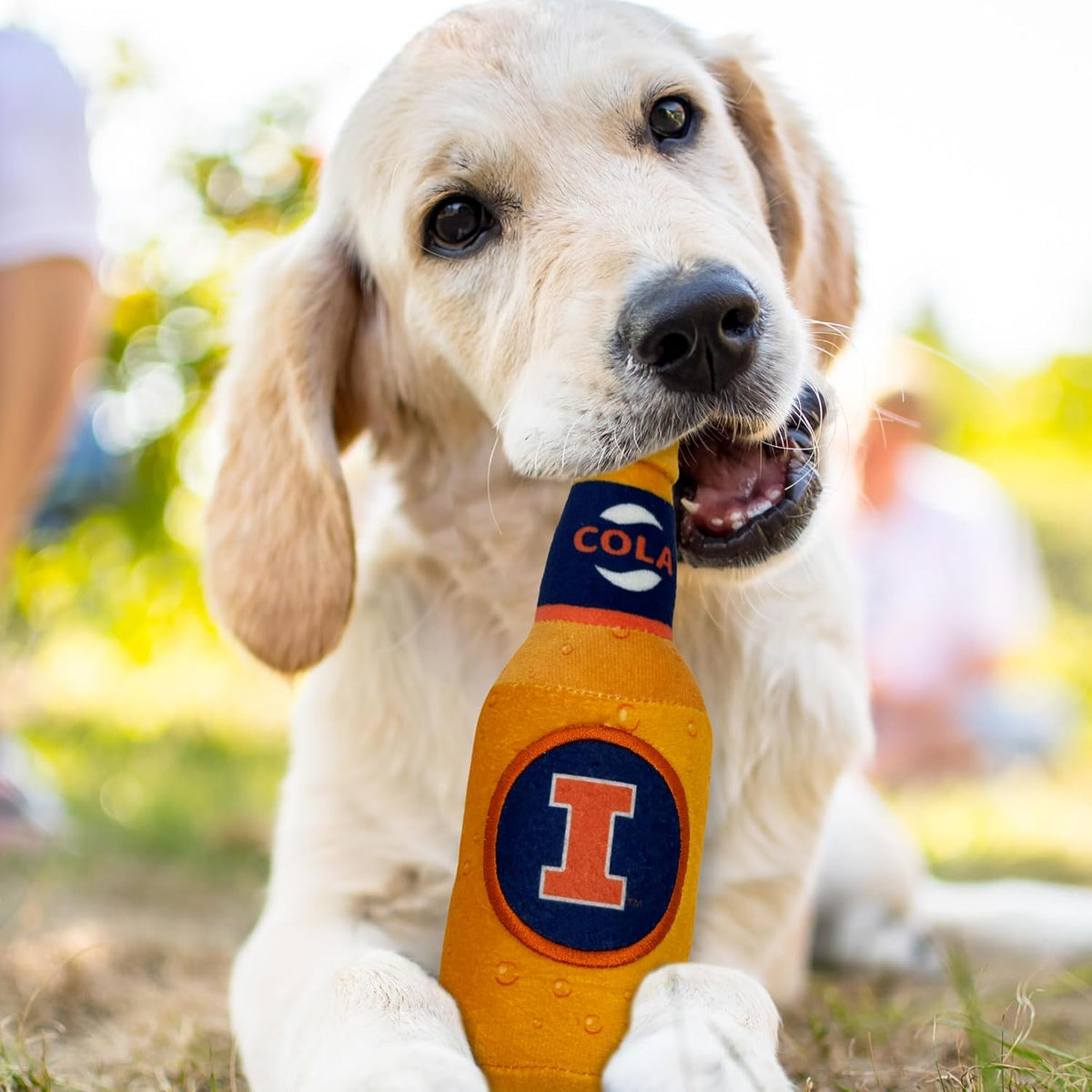 NCAA Illinois Fighting Illini Beer Bottle Plush Dog & CAT Squeak Toy - Cutest Stadium SODA Bottle Snack Plush Toy for Do