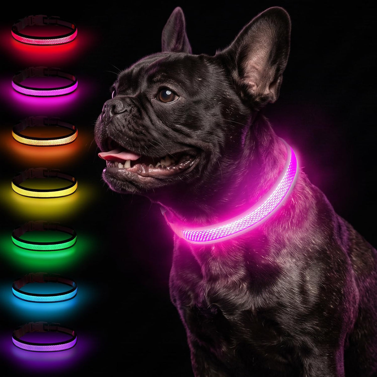 Taglory Light Up Dog Collar for Night Walking, LED Rechargeable, Hot Pink M