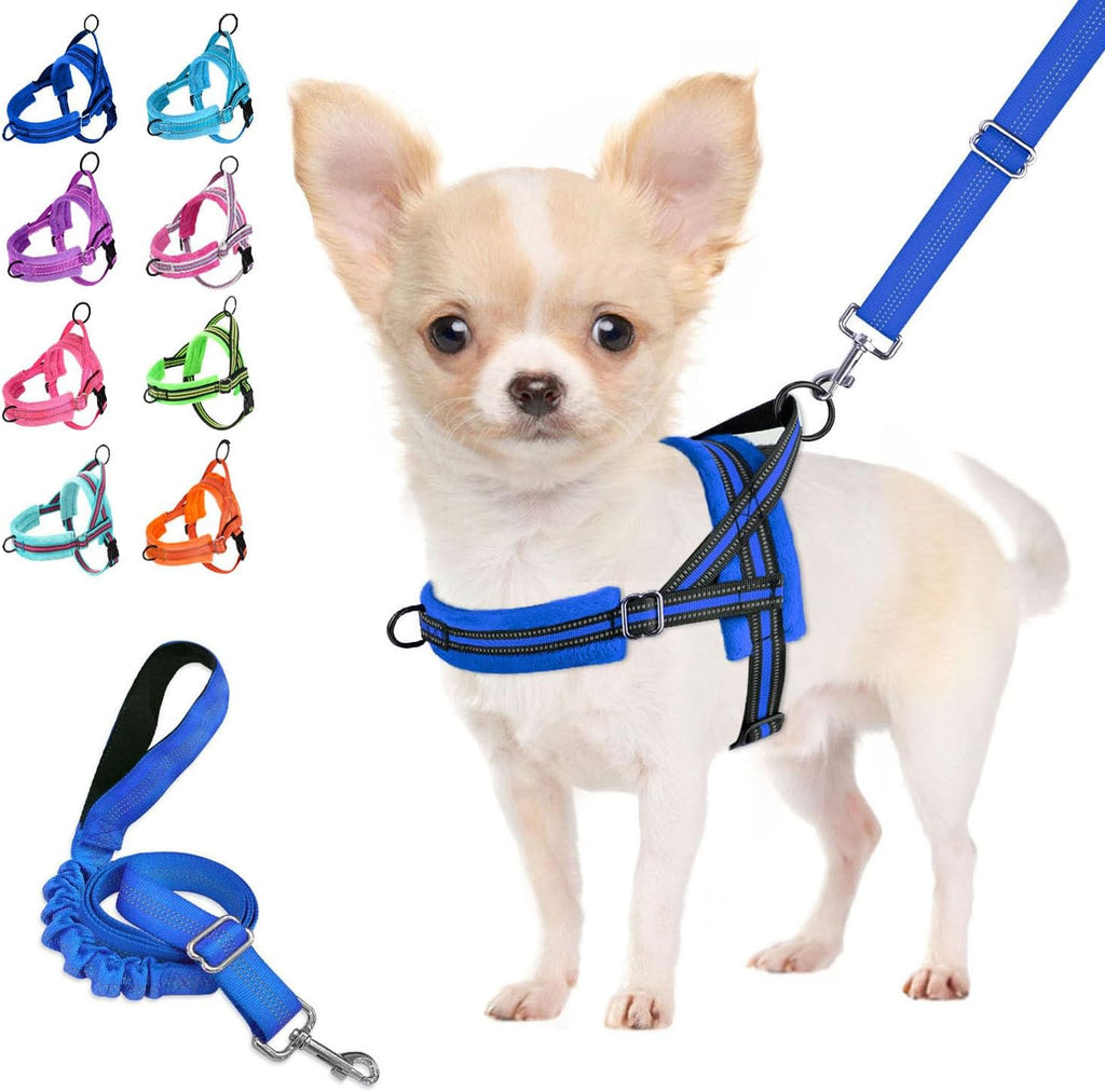 Lukovee Small Dog Harness and Leash Set, No Pull Soft Padded, 4ft Leash, XS