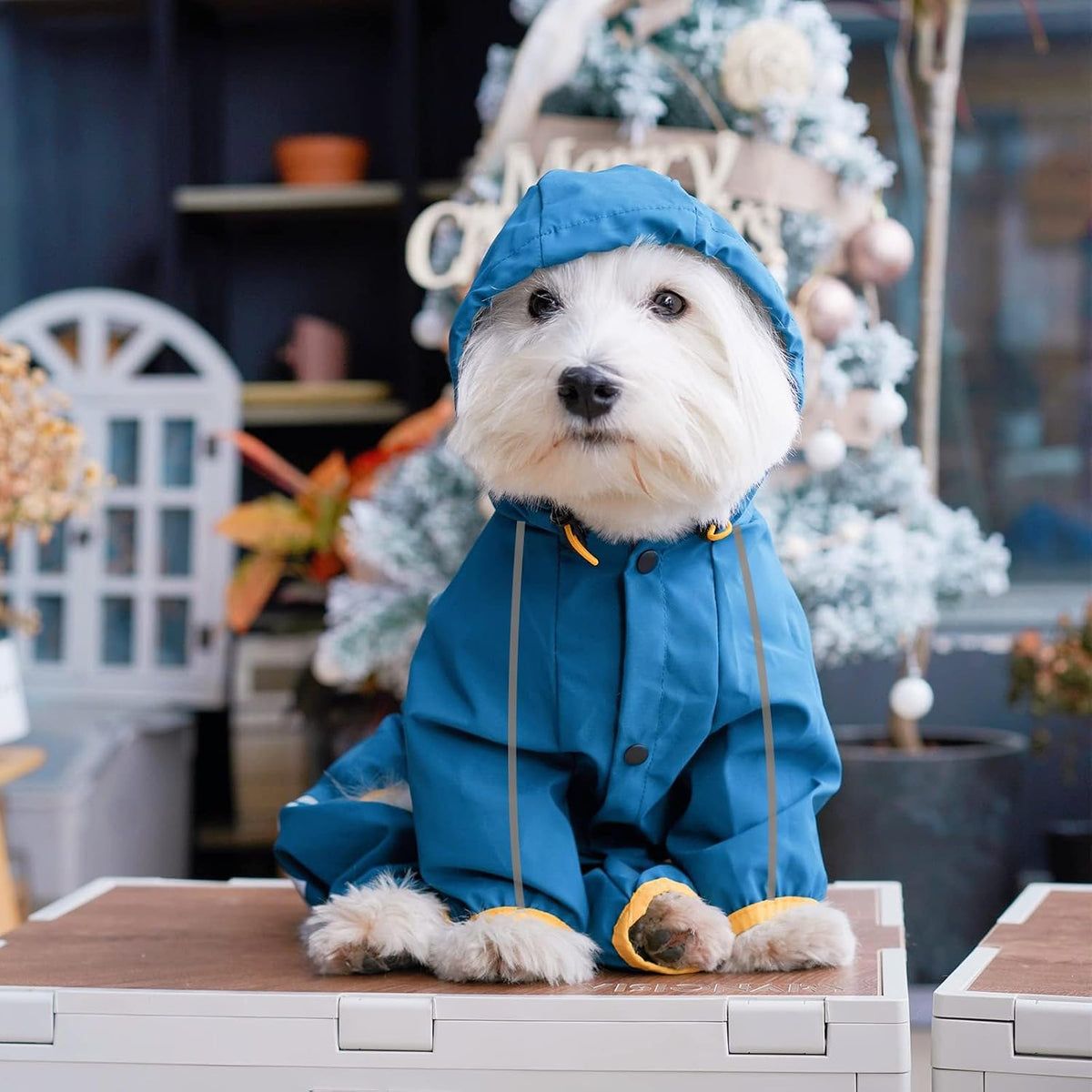 Dog Raincoat, Waterproof Dog Rain Jacket with Hood, Rain Coat with Leash Hole, Reflective Strap for Small Medium Dogs, O
