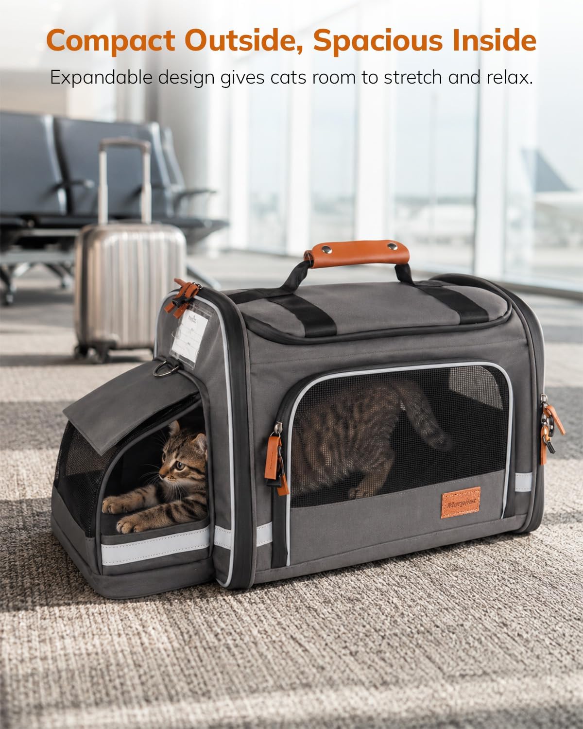 Morpilot Expandable Soft Cat Carrier for Air Travel, 16 x 11 x 11in